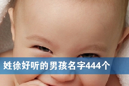 姓徐好听的男孩名字444个
