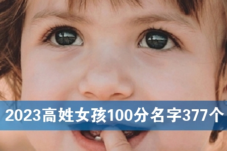 2023高姓女孩100分名字377个