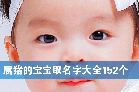 属猪的宝宝取名字大全152个