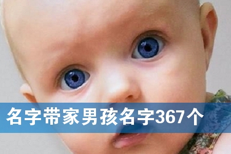 名字带家男孩名字367个