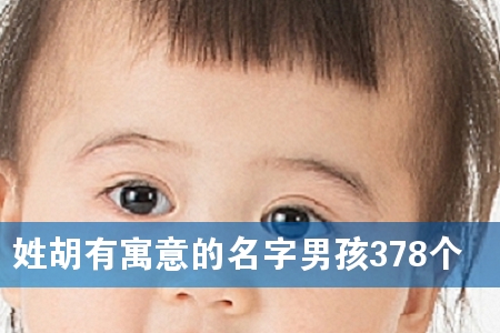 姓胡有寓意的名字男孩378个