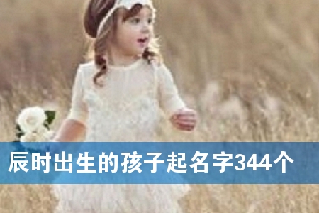 辰时出生的孩子起名字344个