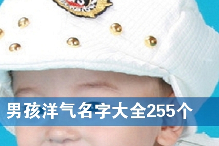 男孩洋气名字大全255个