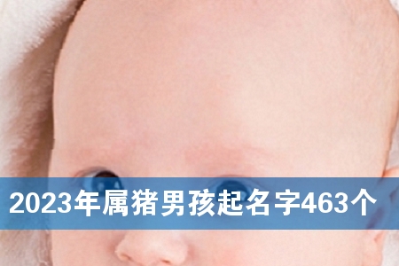 2023年属猪男孩起名字463个