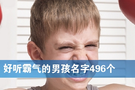 好听霸气的男孩名字496个