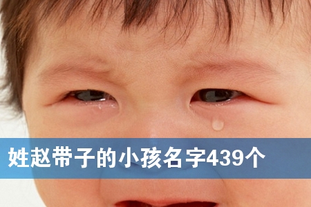 姓赵带子的小孩名字439个