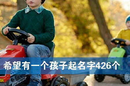 Ï£ÍûÓÐÒ»¸öº¢×ÓÆðÃû×Ö426¸ö