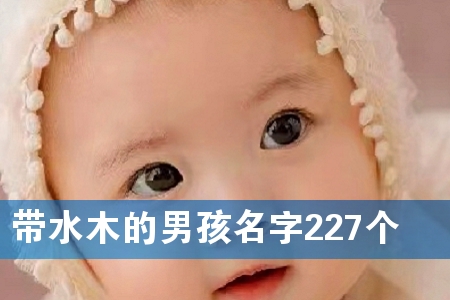 带水木的男孩名字227个