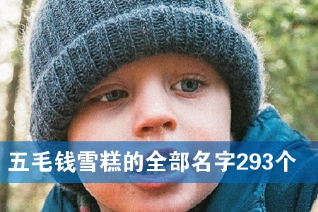 五毛钱雪糕的全部名字293个