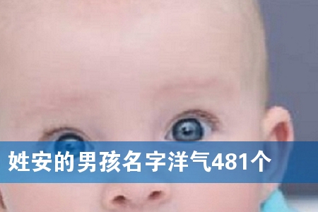 �հ����к���������481��