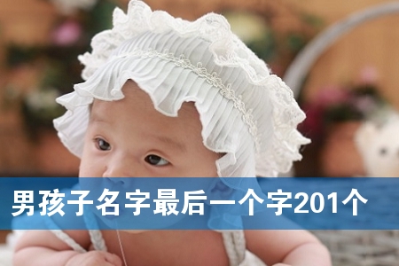 男孩子名字最后一个字201个