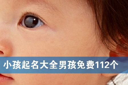 小孩起名大全男孩免费112个