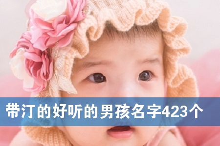 带汀的好听的男孩名字423个
