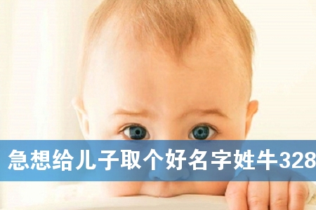 急想给儿子取个好名字姓牛328个
