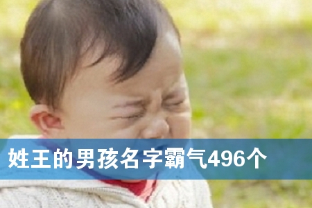 姓王的男孩名字霸气496个