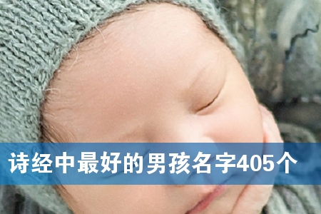 诗经中最好的男孩名字405个