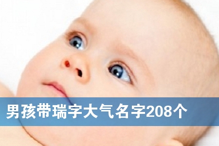 男孩带瑞字大气名字208个