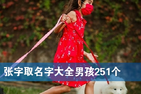 张字取名字大全男孩251个