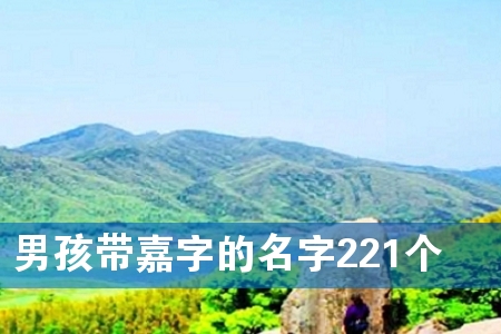 男孩带嘉字的名字221个