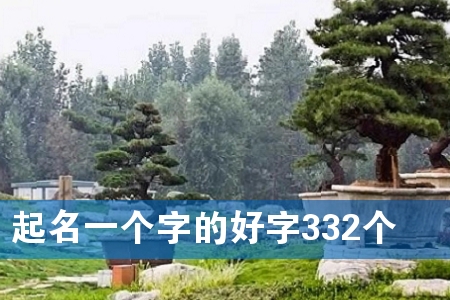 起名一个字的好字332个