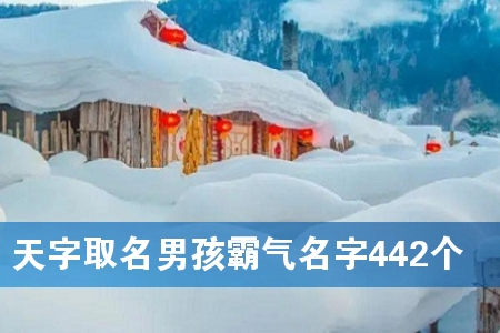 天字取名男孩霸气名字442个