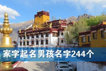 家字起名男孩名字244个