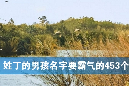 ÐÕ¶¡µÄÄк¢Ãû×ÖÒª°ÔÆøµÄ453¸ö