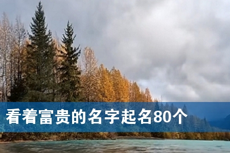 看着富贵的名字起名80个