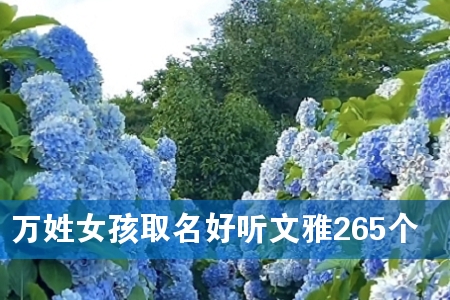 万姓女孩取名好听文雅265个