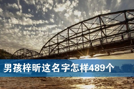 男孩梓昕这名字怎样489个