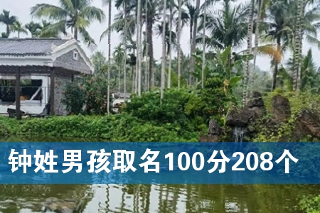 钟姓男孩取名100分208个