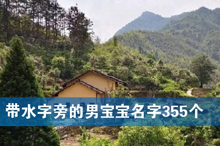 带水字旁的男宝宝名字355个