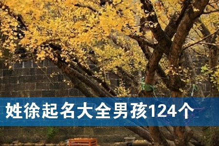 姓徐起名大全男孩124个