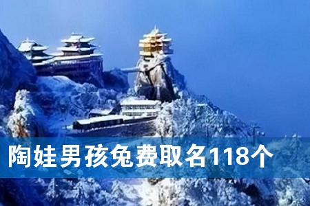 陶娃男孩兔费取名118个