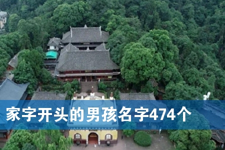 家字开头的男孩名字474个