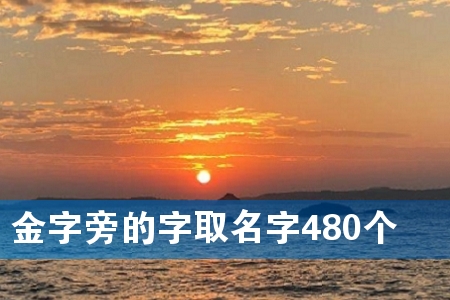 金字旁的字取名字480个