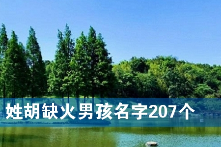 姓胡缺火男孩名字207个