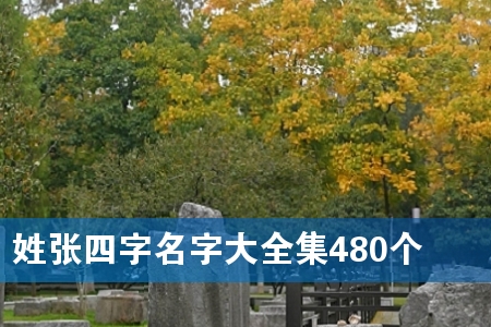 姓张四字名字大全集480个