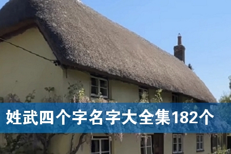 姓武四个字名字大全集182个