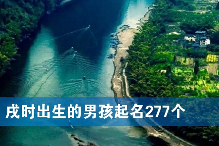 戌时出生的男孩起名277个