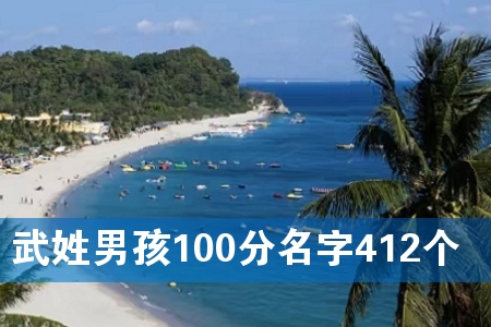 武姓男孩100分名字412个
