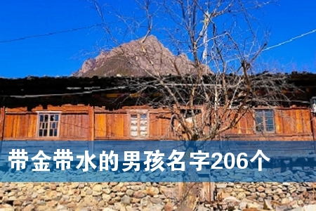 �����ˮ���к�����206��