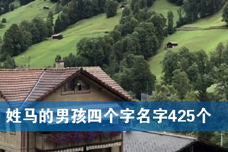 姓马的男孩四个字名字425个