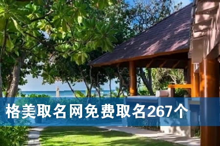 格美取名网免费取名267个