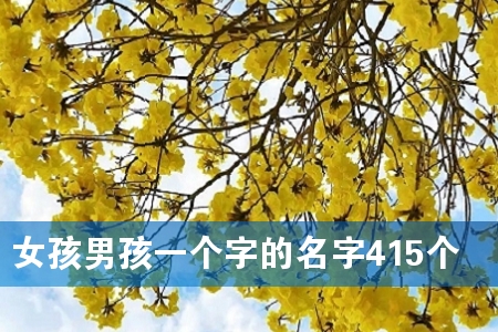 女孩男孩一个字的名字415个