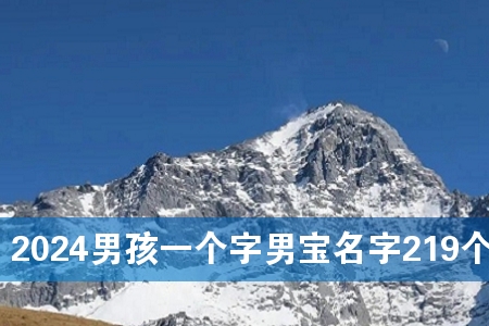 2024男孩一个字男宝名字219个