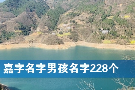 嘉字名字男孩名字228个