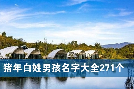 猪年白姓男孩名字大全271个