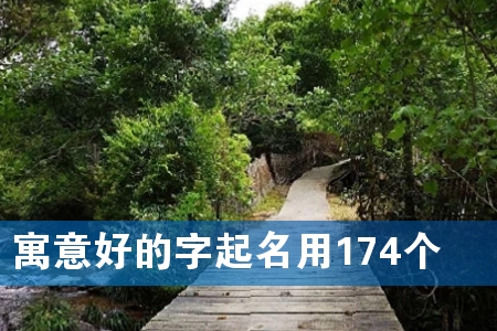 寓意好的字起名用174个