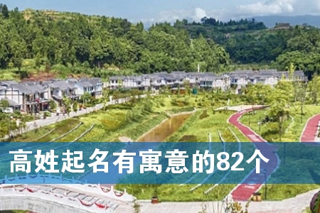 高姓起名有寓意的82个